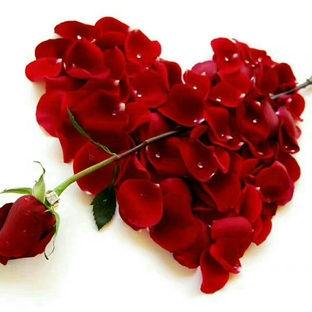 真情留给懂你的人