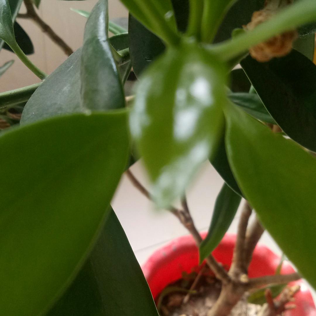你我的回忆