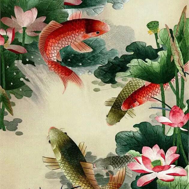 小超哥✌