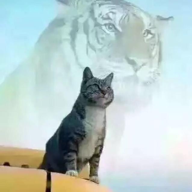 放牛人大贰