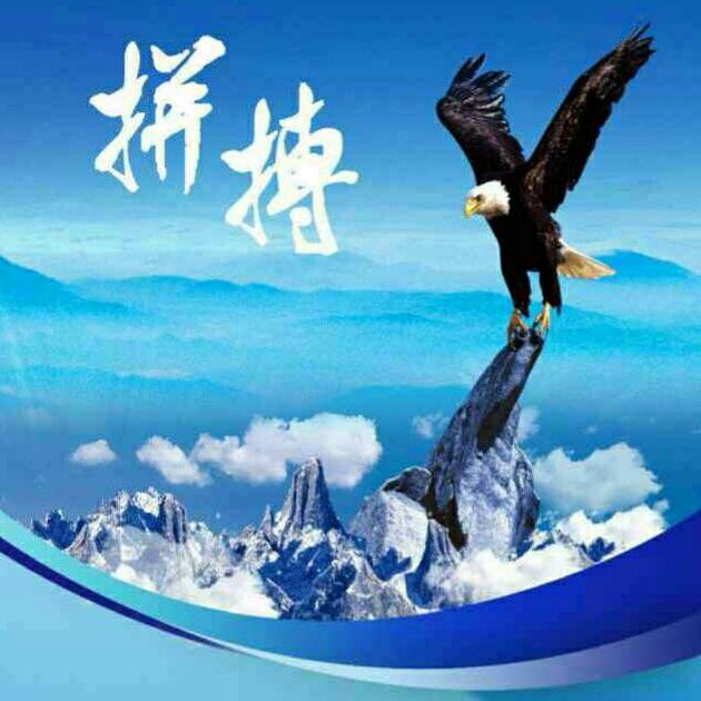 北镇仔猪经纪人李哥！