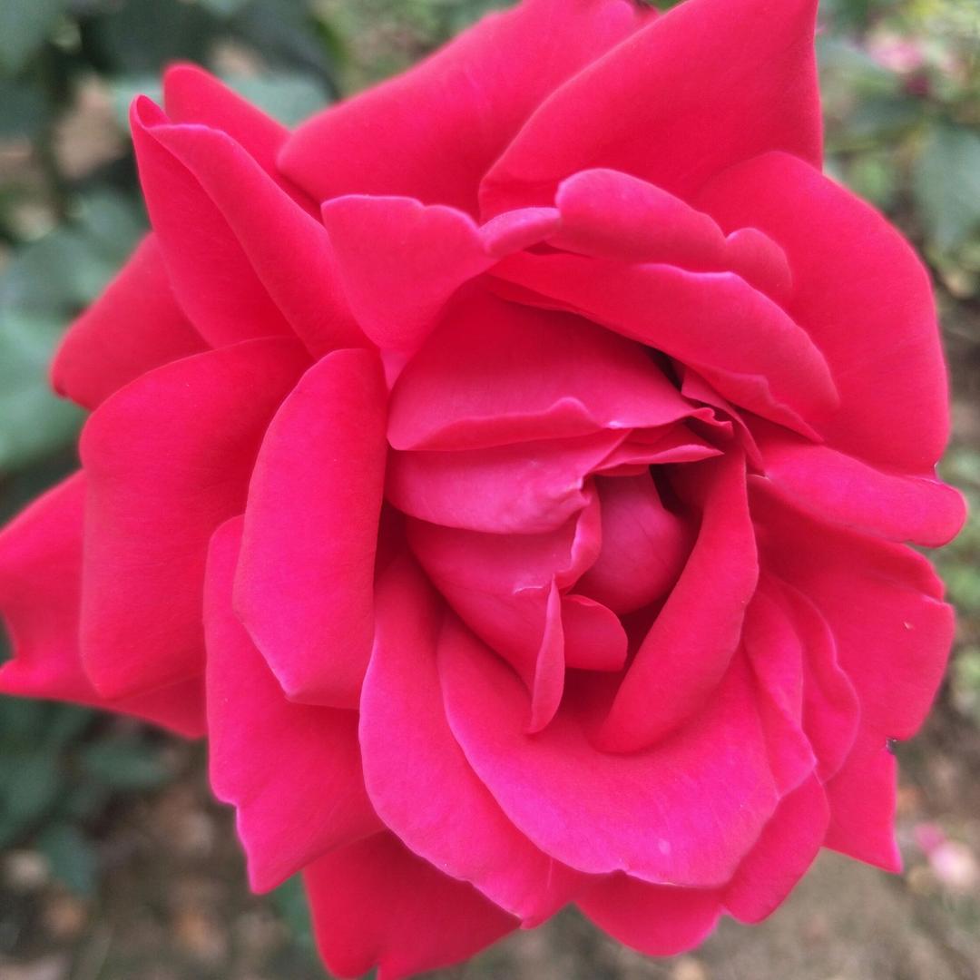 🇨🇳古月🇨🇳建华🇨🇳