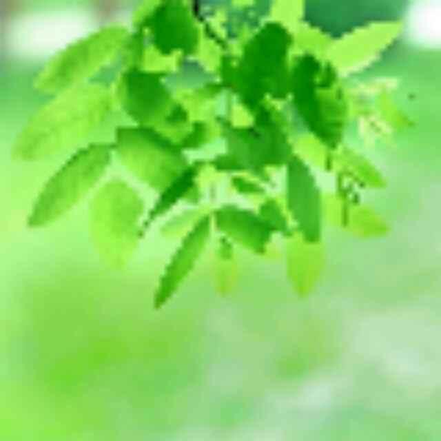 悠悠绿野