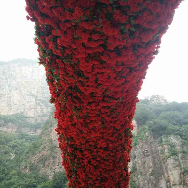 八妹