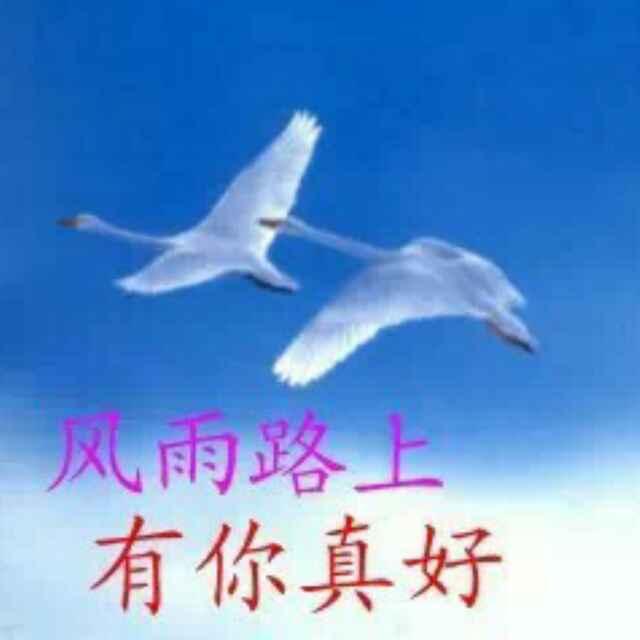 穿越人海