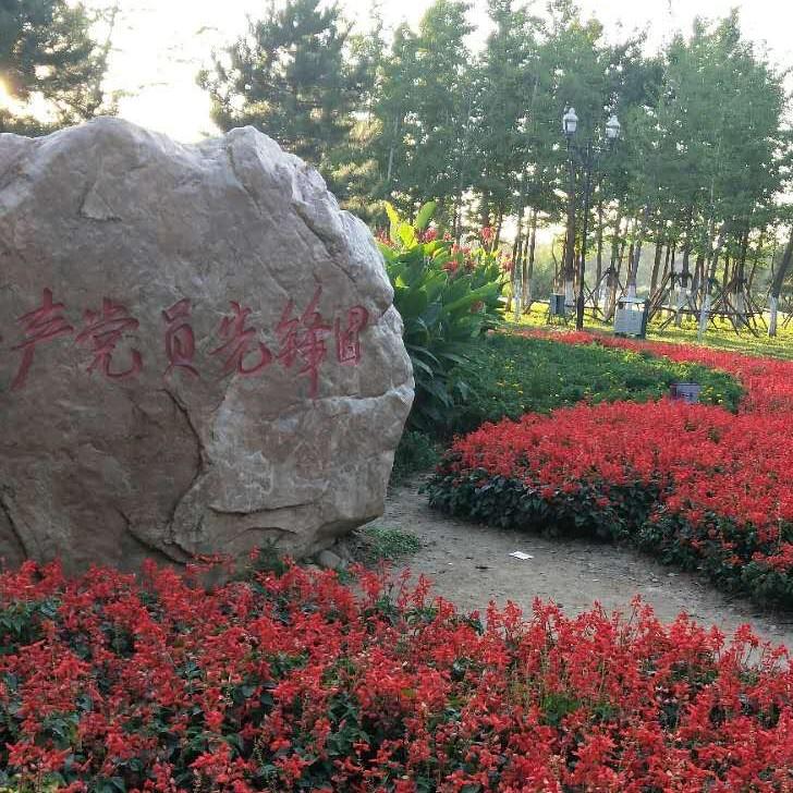 芮，芮