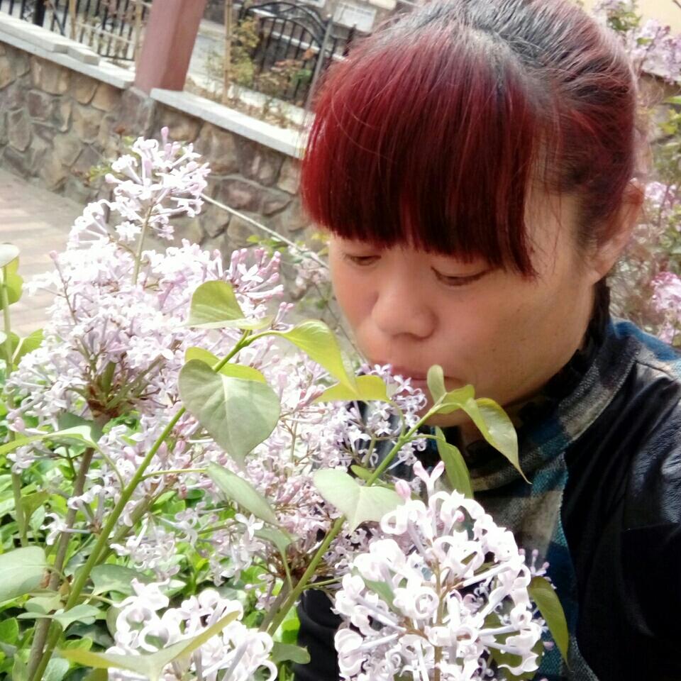 闲情逸致皛百荷