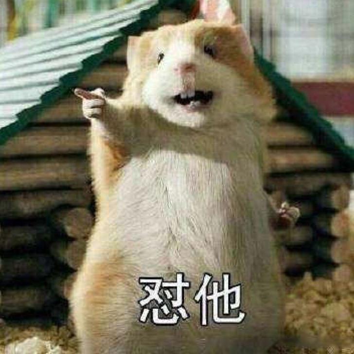 东北良子哥