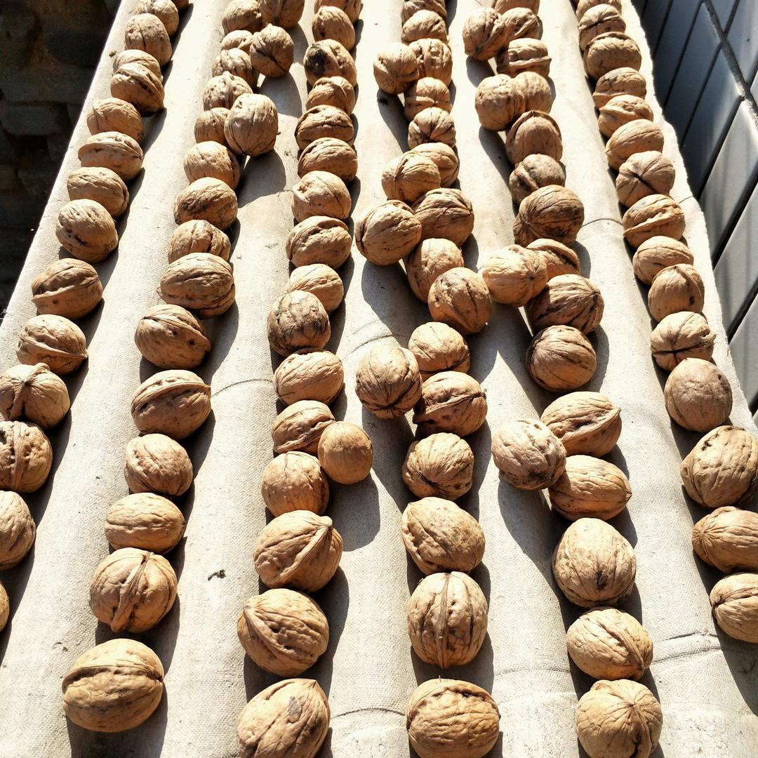 笑看风云，，，，