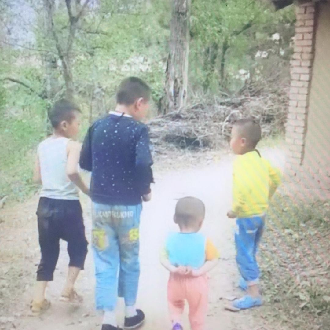 不是刘的