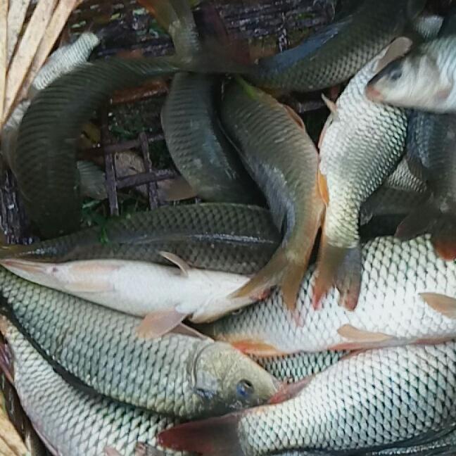 珍惜拥有