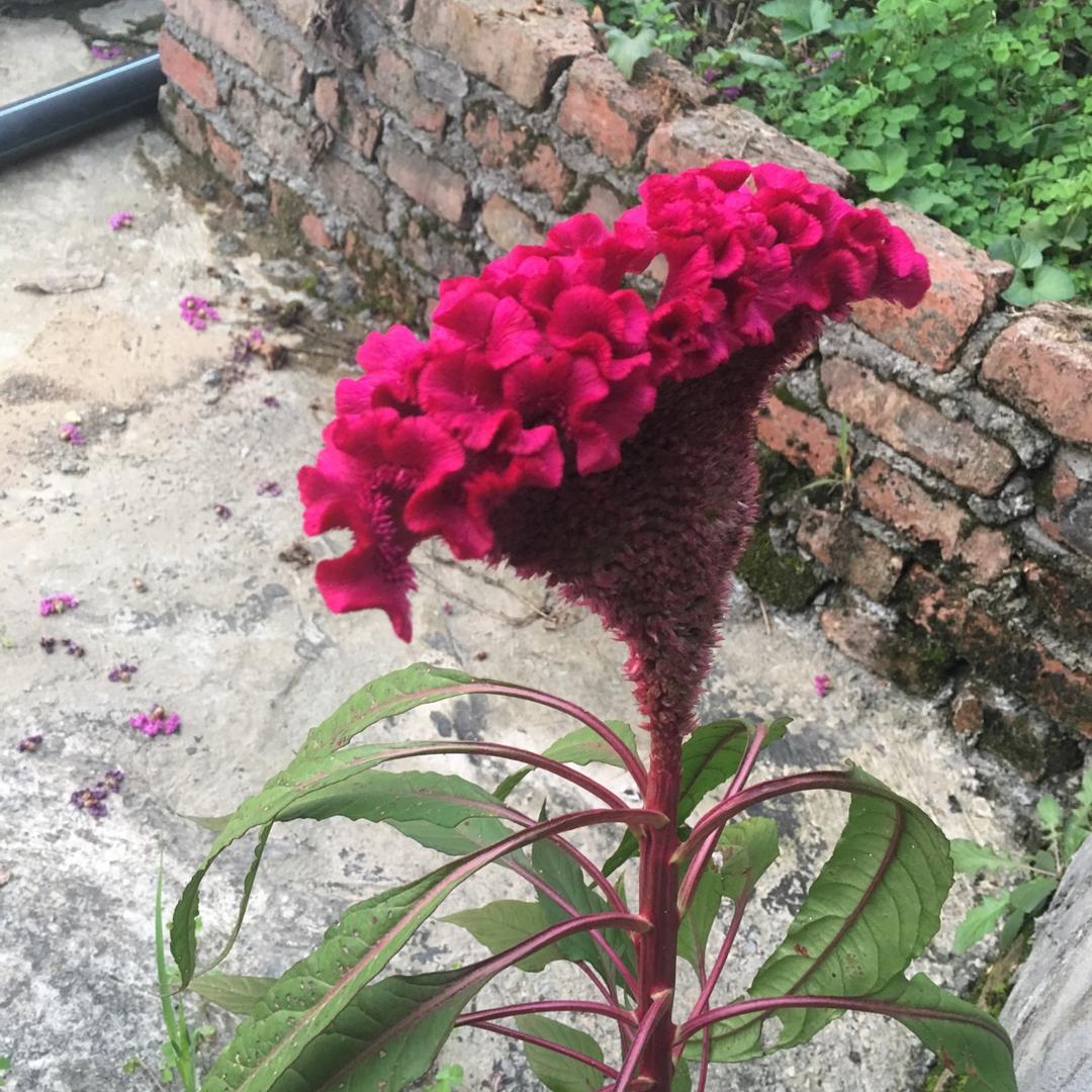 真是好好哦