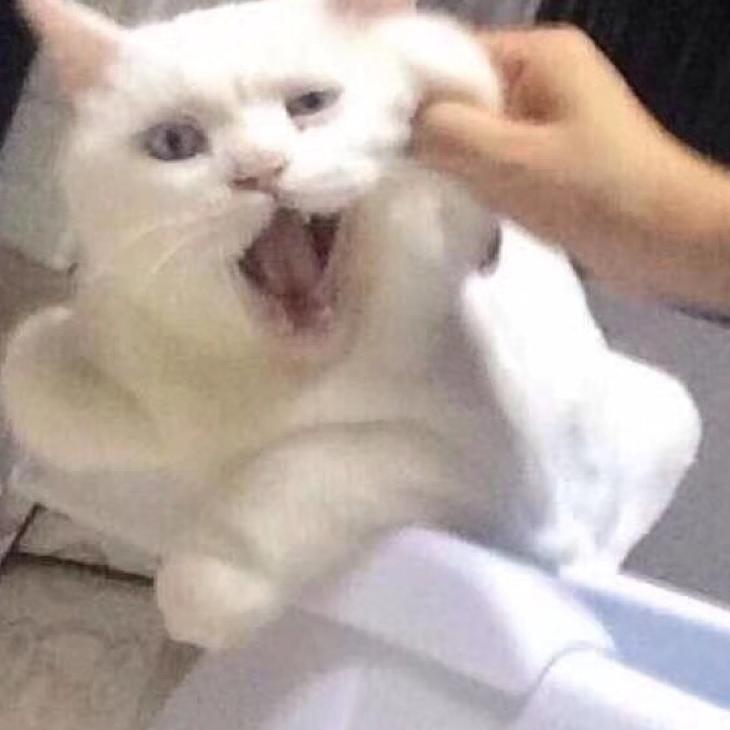 LJH