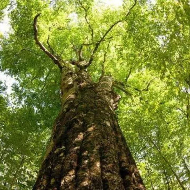 小阳光