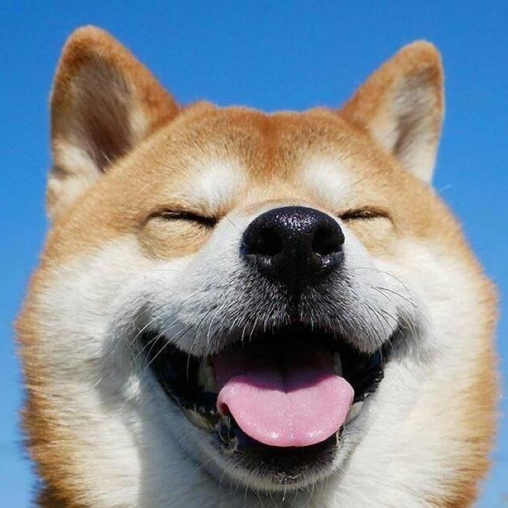 绊