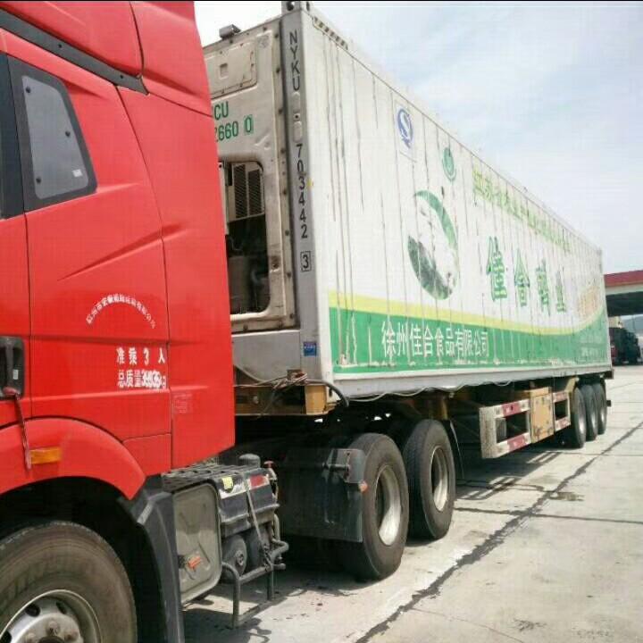 时光会淡化谎言