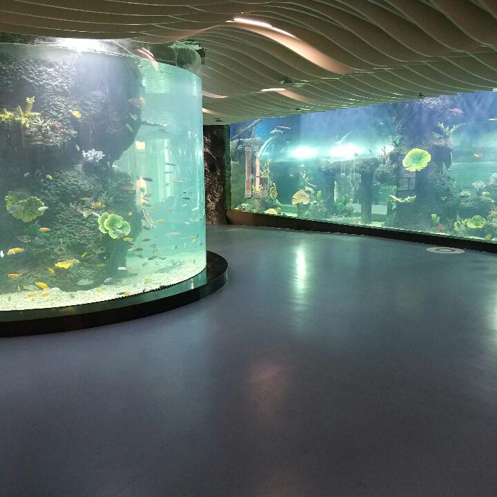 花非花雾非雾
