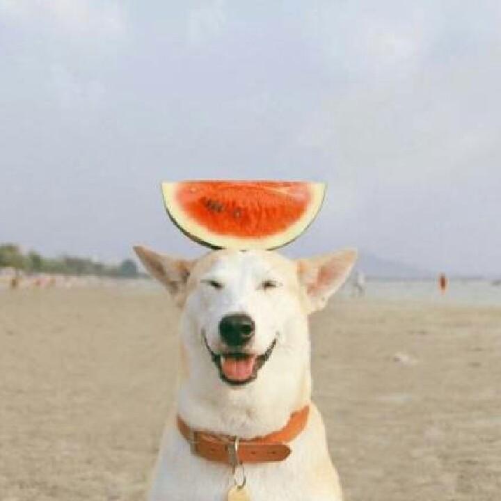 在一起