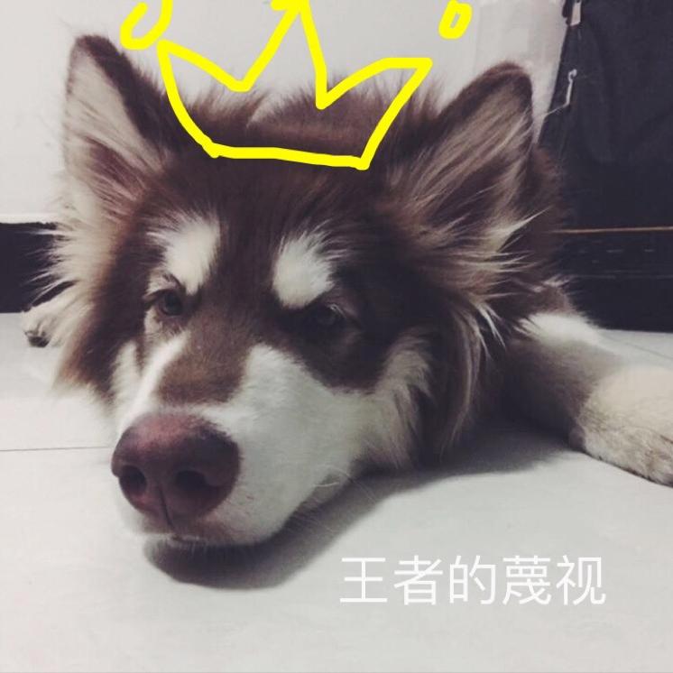 铁臂阿童木小美