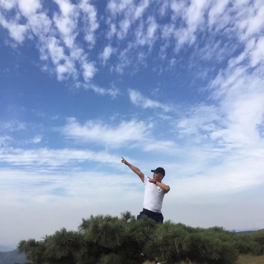 网球