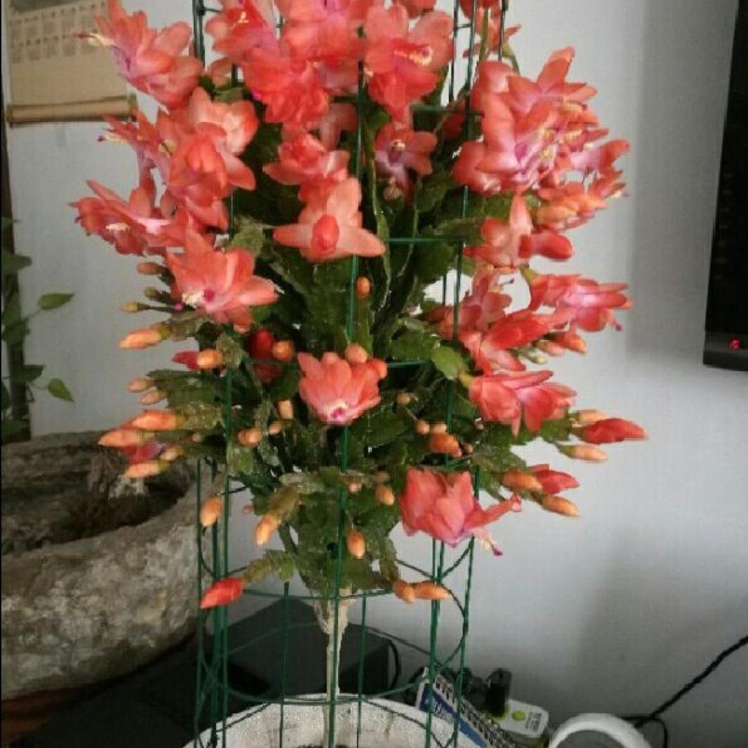 打小就是苦命的孩