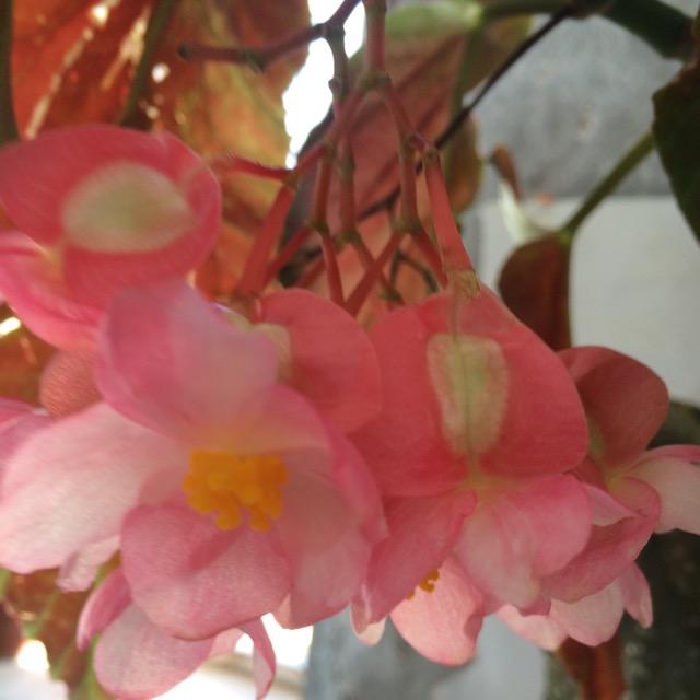为幸福加油哦