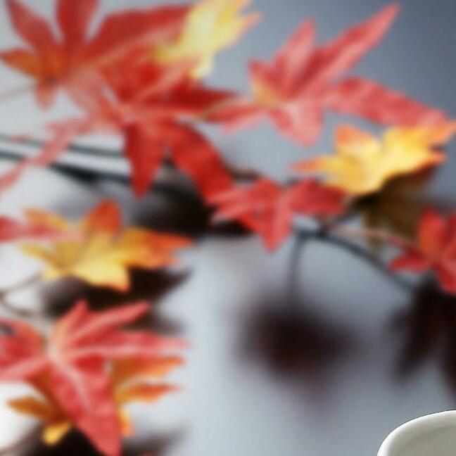 梅00
