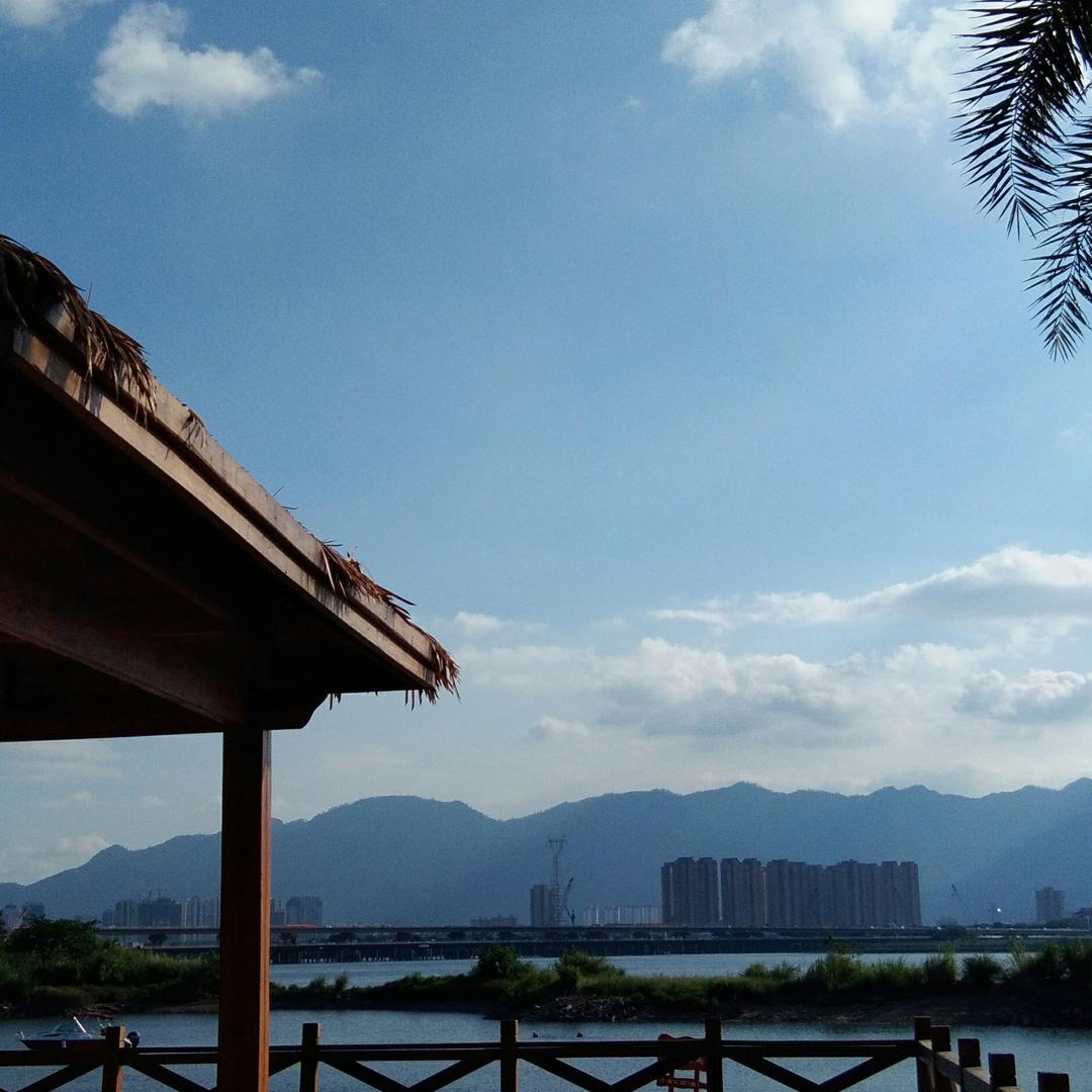 点点多多
