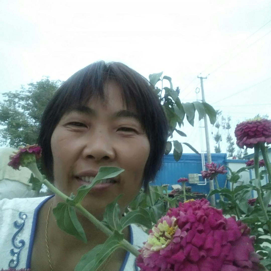 园园团田