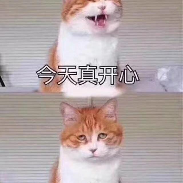 小丫丫怡怡