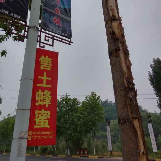 平安一生_221852804