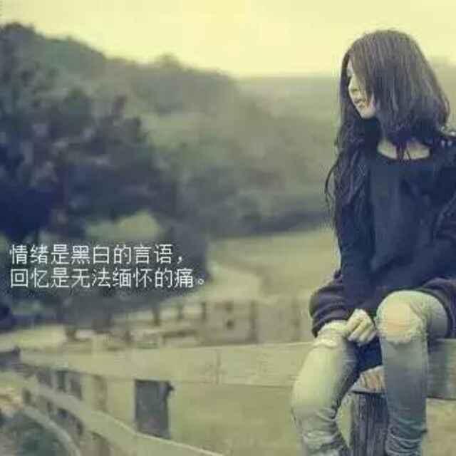 小刺猬_231139