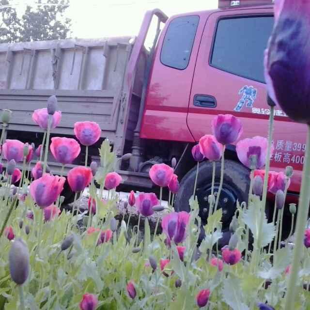 陈振