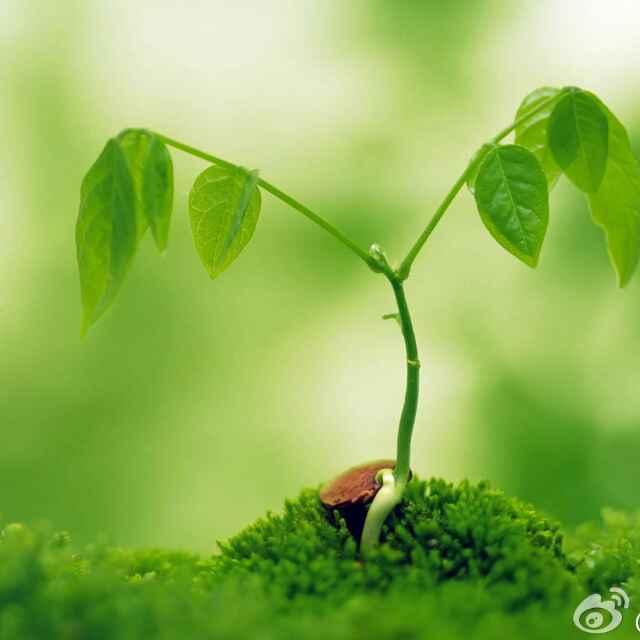 伴着花儿成长