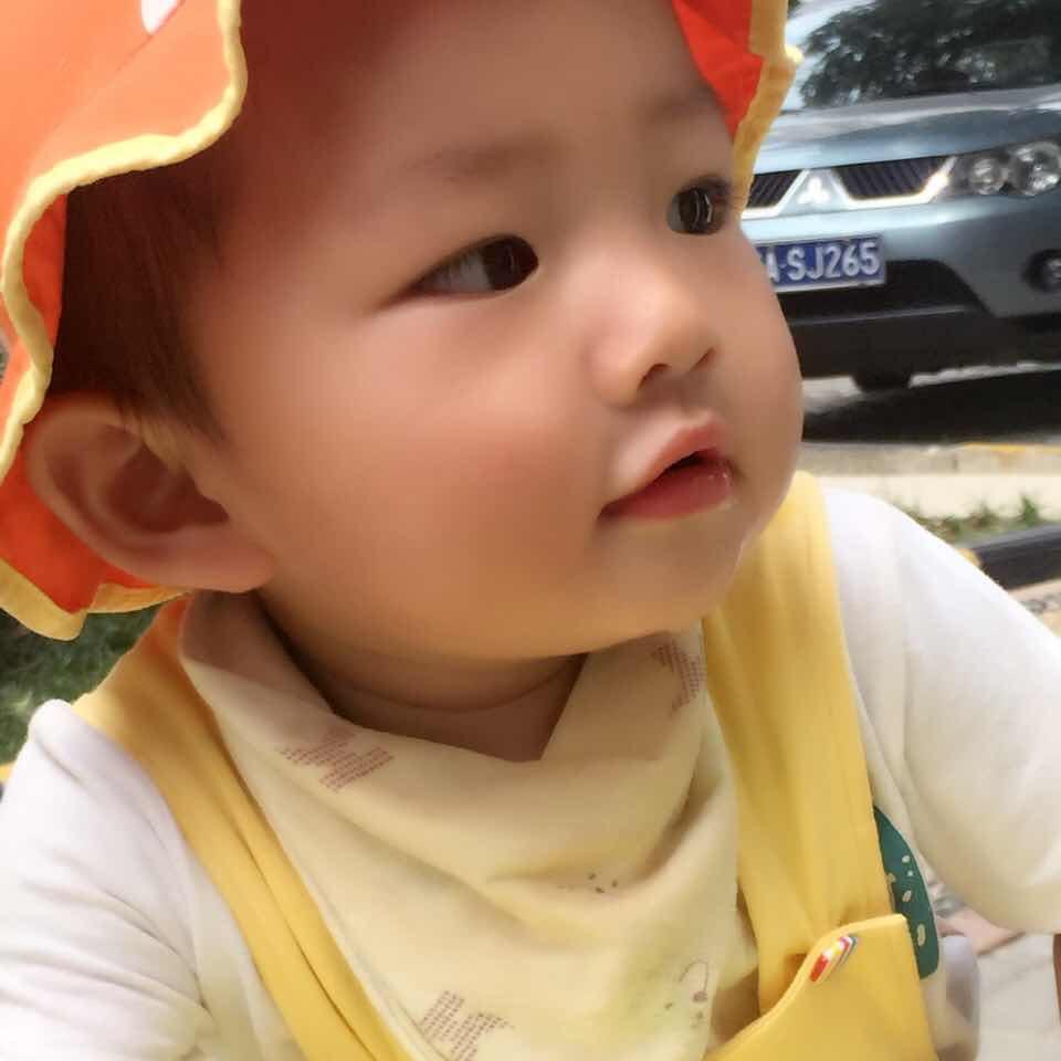 懒猫🐱