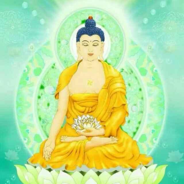 博野二哥