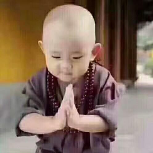 莘果缘果蔬合作社