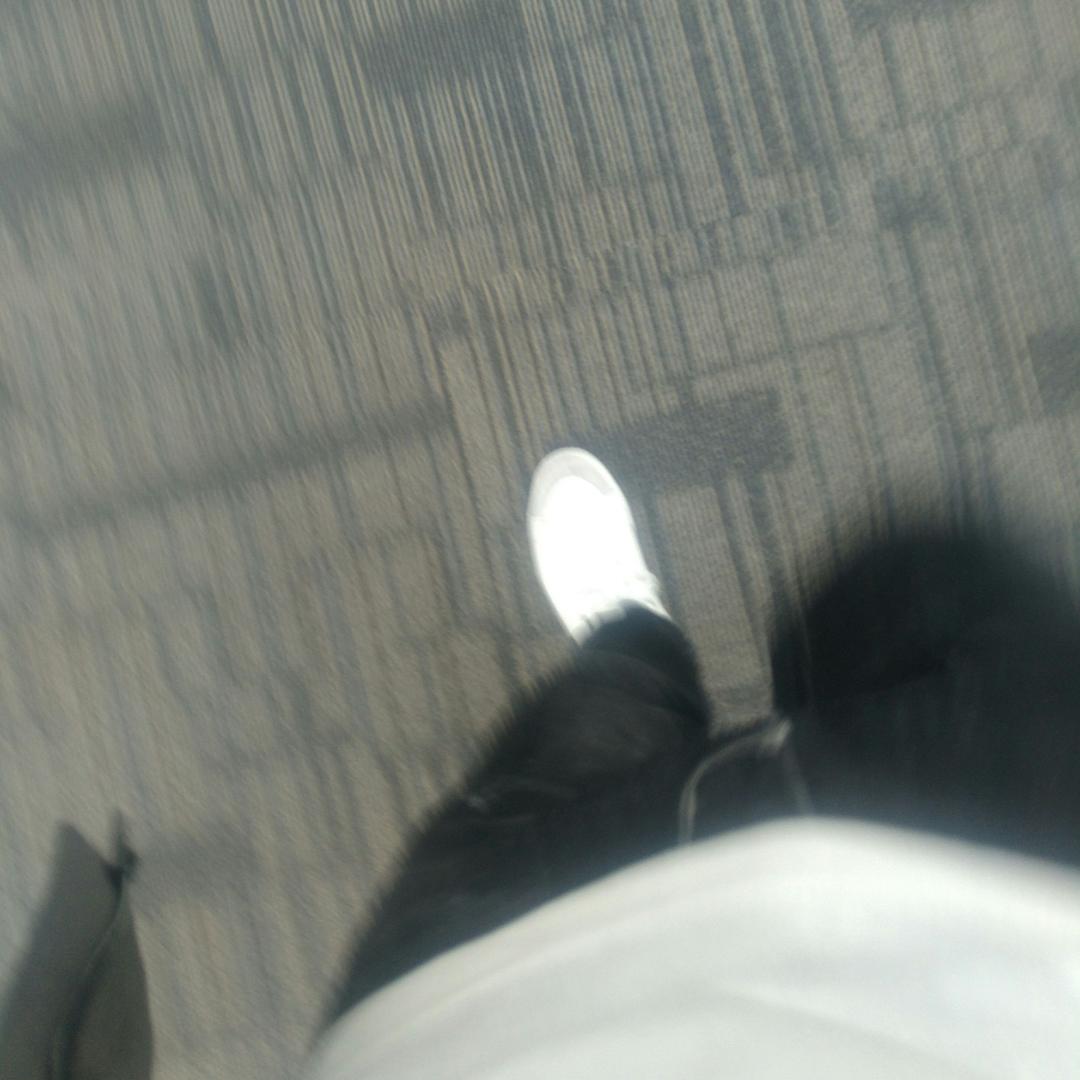 沧海轻舟