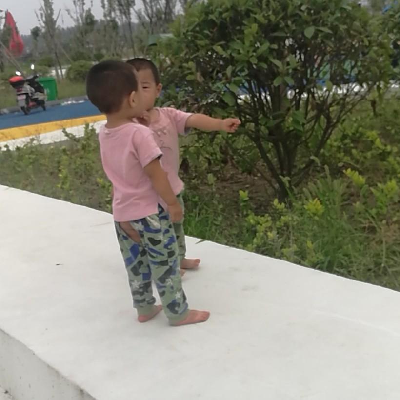 河南民权陈广涛