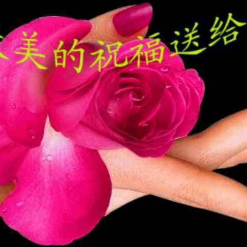 无言的祝福_2266