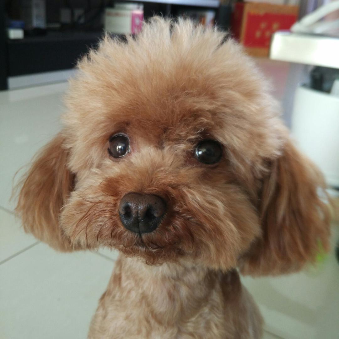 小点点丫⁹⁵²ᰔᩚ