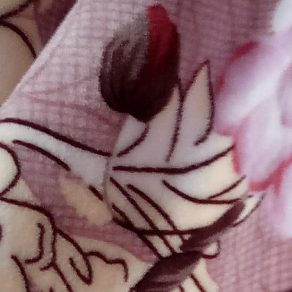TY彩虹