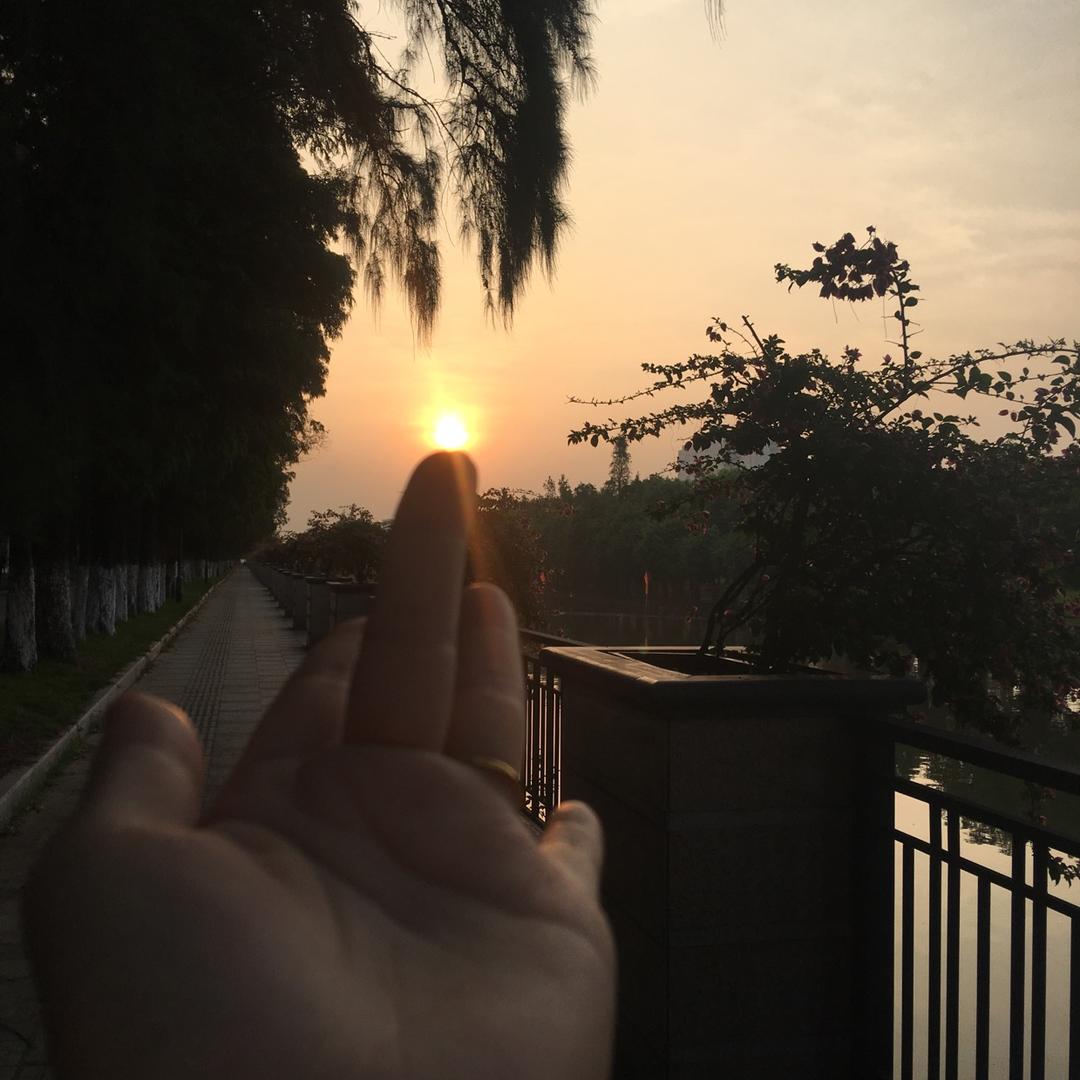 66顺