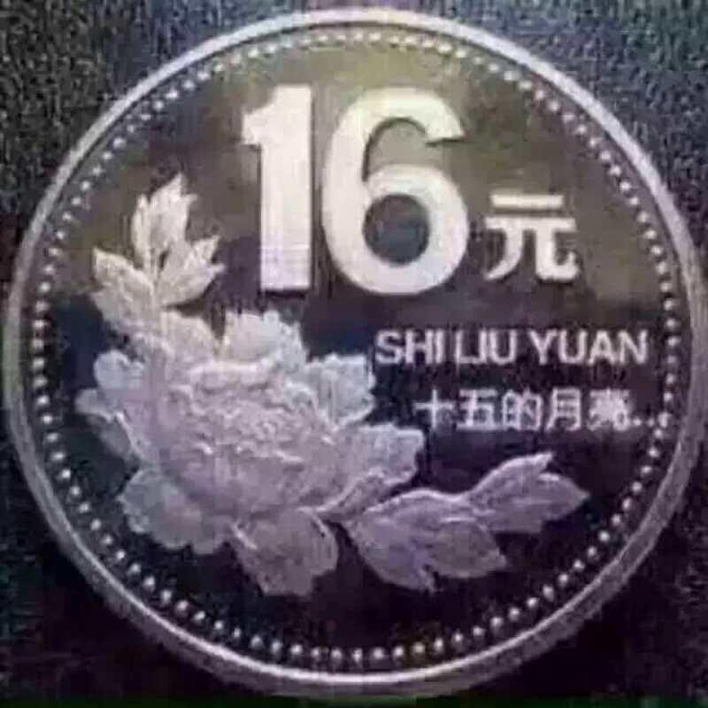 鸿雁高飞飞