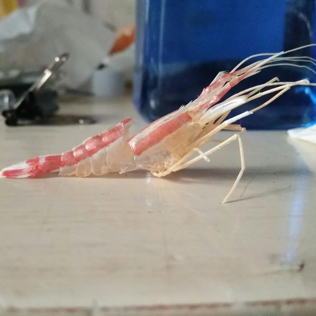 不善交流