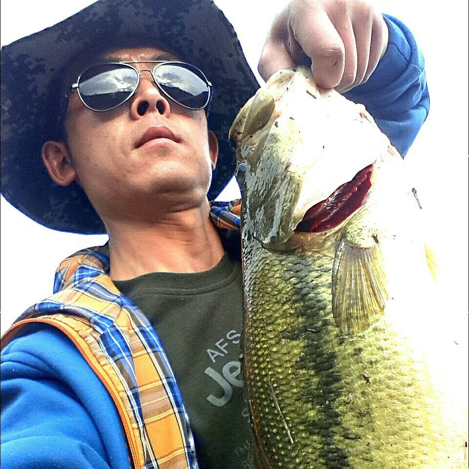 龙一户外