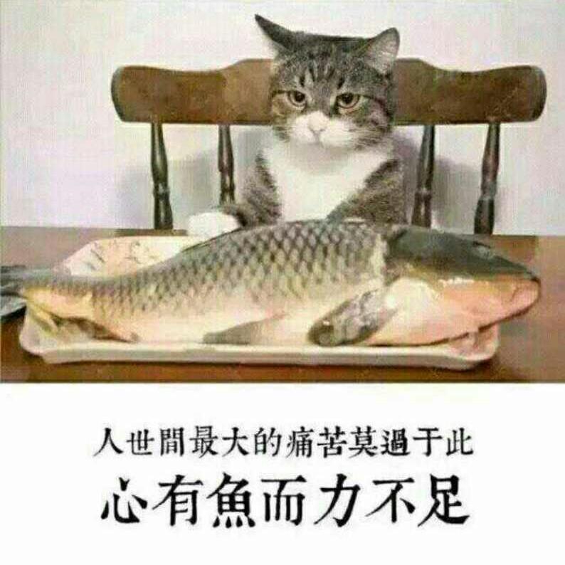 @东哥！
