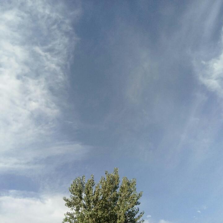 yoyo石榴