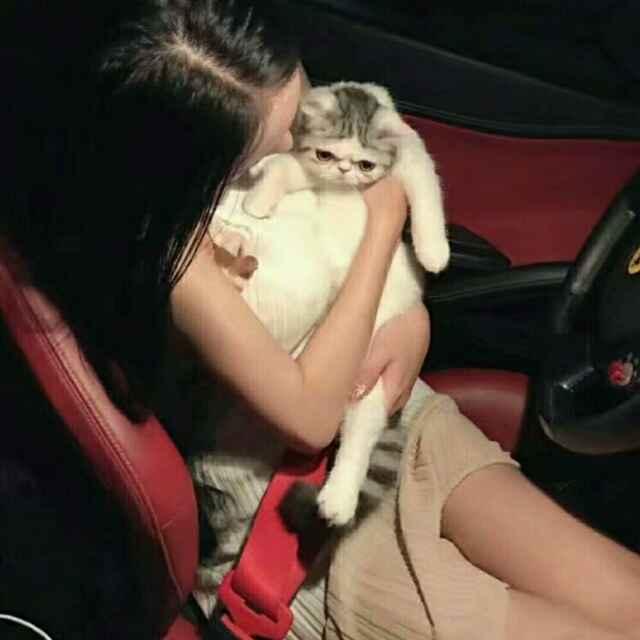 🎀沫姐