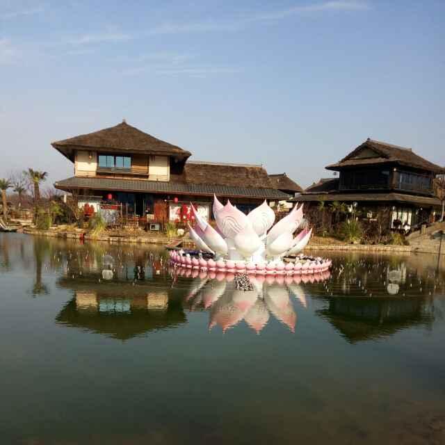 岁岁年年_243868286